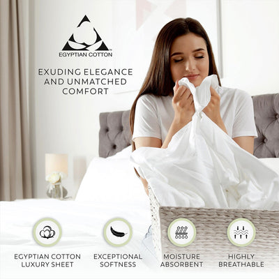 Aireolux 1000 Thread Count Ultra-Soft & Silky Luxury Egyptian Cotton Sheet Set